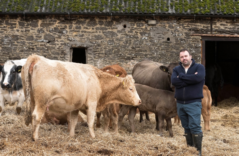 Chris Loder MP with cattle