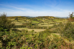 Rural West Dorset 
